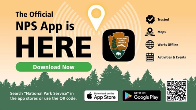 NPS app